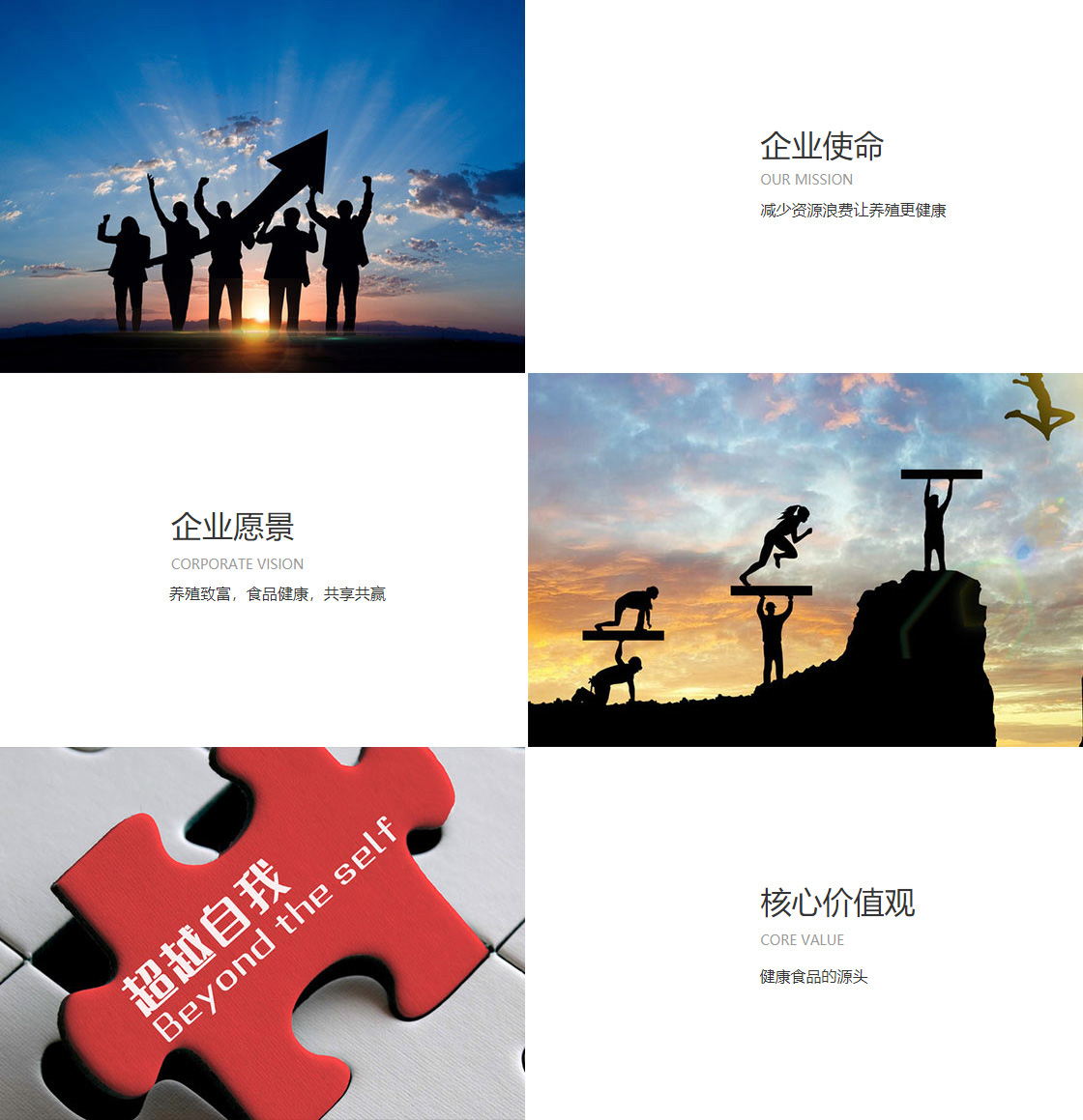 3354cc金沙集团(图1)